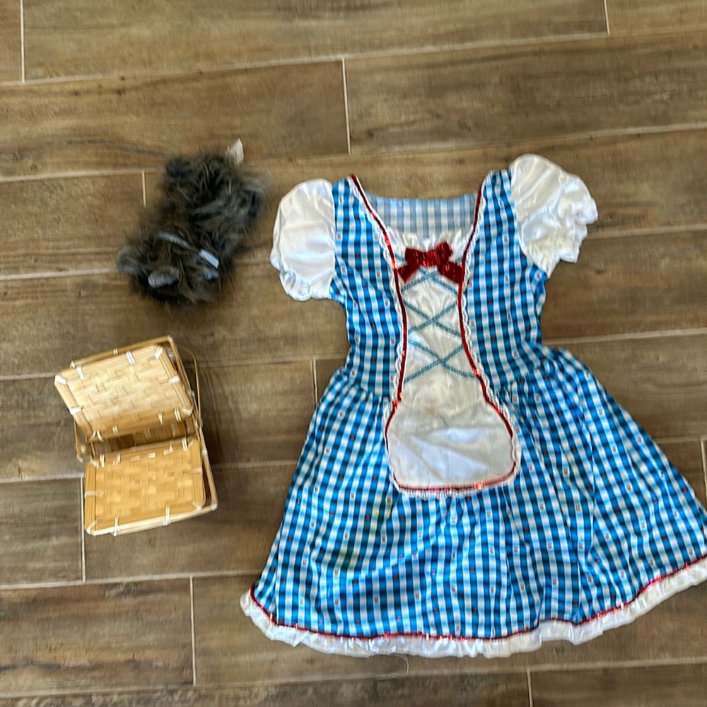 Wizard of Oz Dorothy costume for girl size L